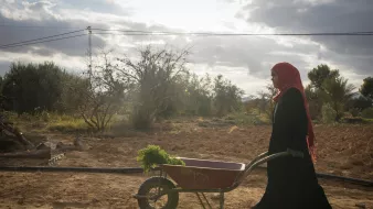 L'image montre une femme portant un hijab rouge, marchant avec une brouette. Elle est dans un paysage rural, avec des arbres et un champ autour d'elle, sous un ciel nuageux. La lumière semble douce, créant une atmosphère tranquille, tandis qu'elle transporte probablement des légumes ou des plantes dans la brouette.